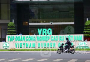 Tập đoàn Cao su (GVR) ước lãi trước thuế quý 2 tăng 27%