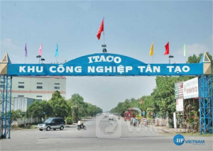 Tân Tạo: Nếu cổ phiếu ITA bị hủy niêm yết, UBCKNN và HOSE phải chịu trách nhiệm