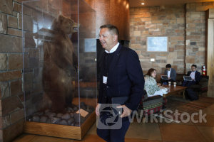 ＥＣＢ、年内あと2回利下げも データ次第＝スロバキア中銀総裁