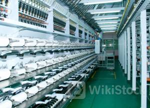 STK: Lỗ kỷ lục do đâu？