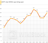 Chủ đầu tư dự án Vinhomes Cổ Loa dù 'trắng' doanh thu nhưng vẫn lãi 139 tỷ đồng trong quý 2/2024