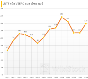 Chủ đầu tư dự án Vinhomes Cổ Loa dù 'trắng' doanh thu nhưng vẫn lãi 139 tỷ đồng trong quý 2/2024