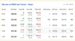 Giá cao su hôm nay 23/7: Tăng - giảm trái chiều