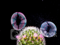 美股新股解读｜业绩大幅改善藏“水分”，有多个潜在经营挑战的山友暖通(WXM.US)下调募资额