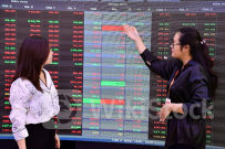 Lưu ý khi đầu tư chứng chỉ quỹ