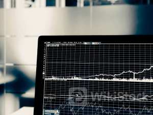 Why Fast-Paced Mover BARK Is a Great Choice for Value Investors - BARK (NYSE:BARK)