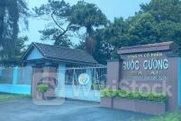 QCG: Quốc Cường Gia Lai có khối tài sản lớn ở phố núi Gia Lai