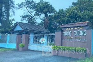 QCG: Quốc Cường Gia Lai có khối tài sản lớn ở phố núi Gia Lai