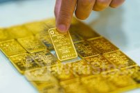 Giá vàng miếng giảm mạnh trong khi vàng nhẫn đi ngang