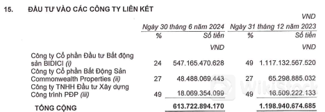 Đại gia bất động sản vốn hóa gần 17.000 tỷ đồng nhưng doanh thu vỏn vẹn 8 tỷ đồng, sống nhờ bán công ty con