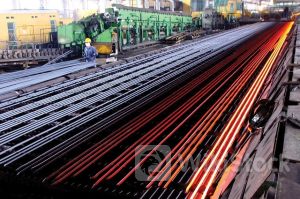 POM: Kinh doanh thua lỗ liên tục, quyết định thay Kế toán trưởng sau hơn 20 năm