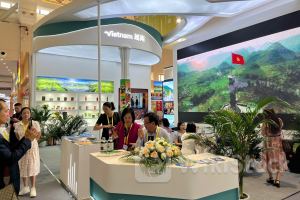 Hơn 60 doanh nghiệp Việt Nam tham gia Hội chợ Trung Quốc - Nam Á