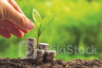 Hoàn thiện khung pháp lý ‘khơi’ dòng vốn cho tăng trưởng xanh