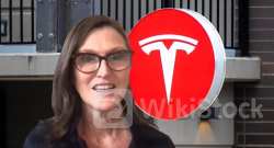 Tesla Bull Cathie Wood's Ark Invest Sells $7.16M Worth Of EV Maker's Shares After Q2 Earnings Reveal Prof