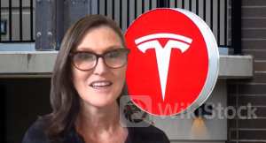 Tesla Bull Cathie Wood's Ark Invest Sells $7.16M Worth Of EV Maker's Shares After Q2 Earnings Reveal Prof