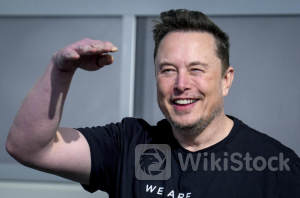 Elon Musk thinks there's one real reason to own Tesla stock: Morning Brief