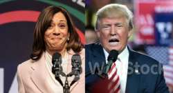 Trump Vs. Harris: New Poll Shows Close Race, But Vice President Could Benefit From 'Dramatic Shifts' Amon