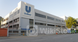 Unilever Boasts Improved Profitability: 'Power Brands Led Gross Margin Expansion,' CEO Says - Unilever (N