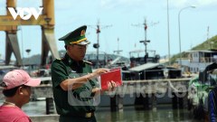 Bình Định tạm thời thu hồi giấy phép khai thác thủy sản 190 tàu cá