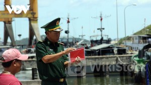 Bình Định tạm thời thu hồi giấy phép khai thác thủy sản 190 tàu cá