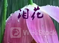 07.26股市早8点丨地量地价与底部放量