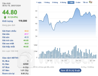 Phó Tổng giám đốc Vietcap muốn bán bớt 2,8 triệu cổ phiếu VCI