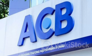 ACB: 'Ém' thù lao của Chủ tịch HĐQT Trần Hùng Huy