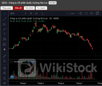 HoSE yêu cầu Quốc Cường Gia Lai giải trình