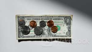 Pineapple Financial And 2 Other Penny Stocks Insiders Are Buying - RENN Fund (AMEX:RCG)