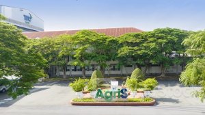 Nhà đầu tư nước ngoài đẩy mạnh mua vào cổ phiếu SBT, tập trung vào tiêu chí ESG