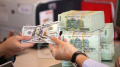 Tỷ giá USD/VND có thể tăng 6% trong năm nay