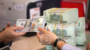 Tỷ giá USD/VND có thể tăng 6% trong năm nay