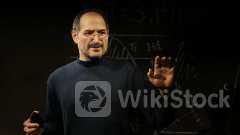 Steve Jobs Once Consulted Bernard Arnault When Apple Was Opening Its First Retail Store: French Luxury Ty