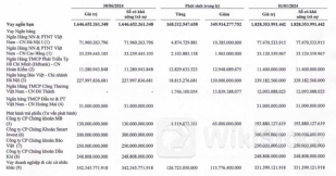 Hải Phát báo lãi ròng 'đi lùi' 62%, Chủ tịch Đỗ Quý Hải giảm mạnh thu nhập
