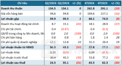 Lãi tiền gửi giảm và áp lực chi phí quản lý kéo lãi ròng quý 2 của Vipco tụt 31%