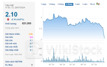 Nhà đầu tư tháo chạy khỏi LDG, cổ phiếu liên tục giảm sàn trắng bên mua, "chồng chất" bán sàn gần 6% công ty
