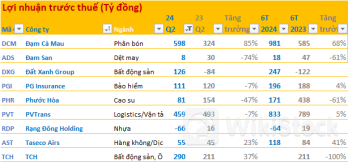 Cập nhật BCTC quý 2/2024 chiều 29/7: Đất Xanh, Đạm Cà Mau, Tài chính Hoàng Huy... báo lãi tăng vọt