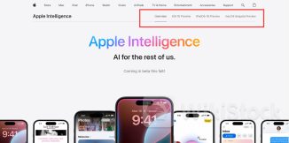 重磅！苹果发布AI功能测试版 未融入ChatGPT 仅面向付费开发者