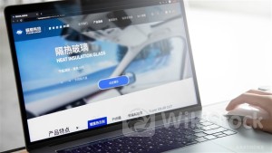 FUYAO GLASS (03606.HK) Rebounds ~4% as Interim NP Grows 23%