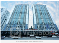 NTL: Báo lãi gấp hàng trăm lần cùng kỳ