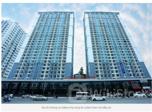 NTL: Báo lãi gấp hàng trăm lần cùng kỳ