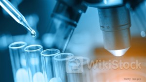 ＜Research＞UBS: WUXI APPTEC (02359.HK) 1H24 Results Miss; Full-yr Target Unchanged