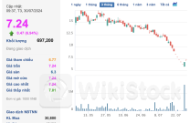 ĐHĐCĐ Quốc Cường Gia Lai: Ông Nguyễn Quốc Cường ngồi "ghế nóng, cổ phiếu kịch trần sau 7 phiên bị bán tháo