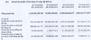 Vắng hoạt động thanh lý khoản đầu tư, lãi ròng quý 2 của Đất Xanh đi lùi gần 80%