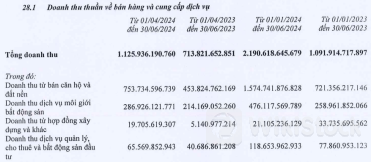 Vắng hoạt động thanh lý khoản đầu tư, lãi ròng quý 2 của Đất Xanh đi lùi gần 80%