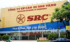 Cao su Sao Vàng báo lãi kỷ lục trong quý II/2024 nhờ cho thuê bất động sản