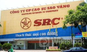 Cao su Sao Vàng báo lãi kỷ lục trong quý II/2024 nhờ cho thuê bất động sản