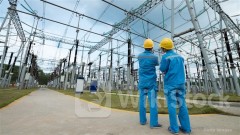 ＜Research＞M Stanley Estimates 3 CN Telecoms to Post Slower 2Q Rev. Hike, but Profit/ Div. Growth Stable