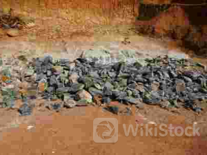 Piper Sandler对Lithium Americas(LAC.US)首次覆盖评级为中性，目标价为3.90美元