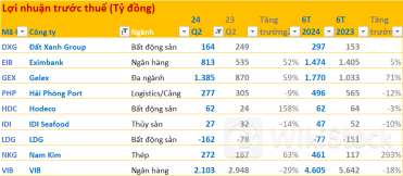 Cập nhật BCTC quý 2/2024 chiều 30/7: LDG ghi nhận doanh thu âm, Nam Kim, Eximbank, Hodeco... báo lãi tăng vọt